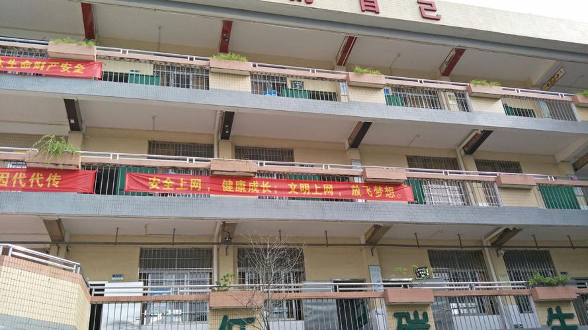 西南网络教育
